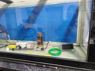 аквариум: Просторный аквариум панорамного типа с чёрной рамой. - Прямоугольная — 5