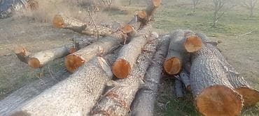 садовые шланги для полива: Дрова — 4