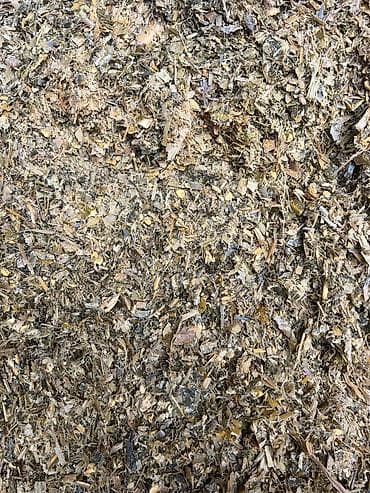 Ветеринар кызматы: Кукурузный силос (рубленая масса кукурузы) - Состав: измельчённые — 2