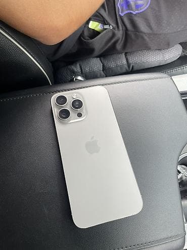 IPhone 15 Pro Max, 256 ГБ, Серебристый, 87 %