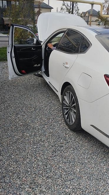 зеркало 211: Kia Cadenza: 2018 г., 3 л, Автомат, Газ, Седан — 7