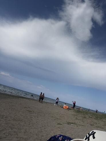 Үй жана бакча: Ищу койку квартиру или комнату — 1