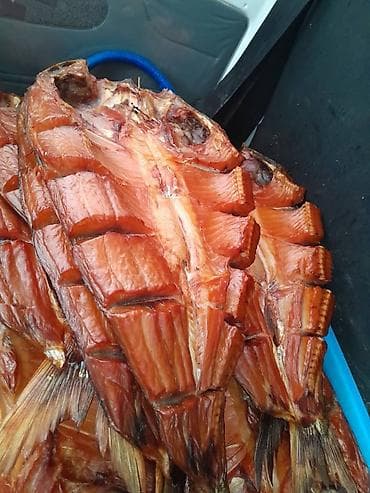 уй суттуу: Продаю капченую рыбу мало смольная холодного капчение очень вкусное — 1