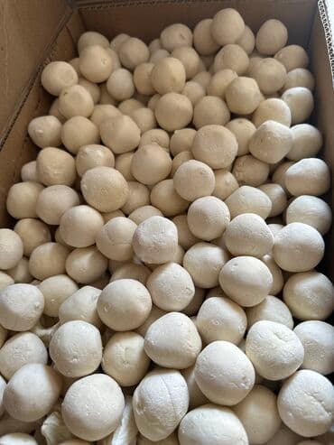 тесто кадаиф бишкек: ҚҰРТ,КУРТ,QURT Сушенный кисло-молочный продукт KURUT 100% original без — 4