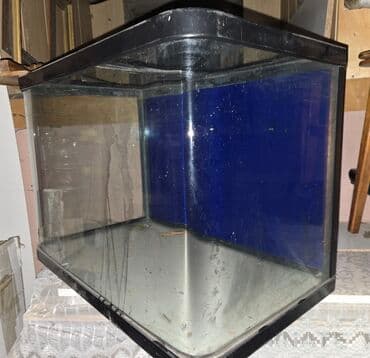 стекло аквариум: Аквариум угловой стеклянный с округлым передним стеклом — 4