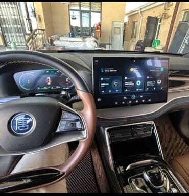 фотохромные очки: BYD : 2023 г., 1.5 л, Вариатор, Электромобиль, Внедорожник — 15