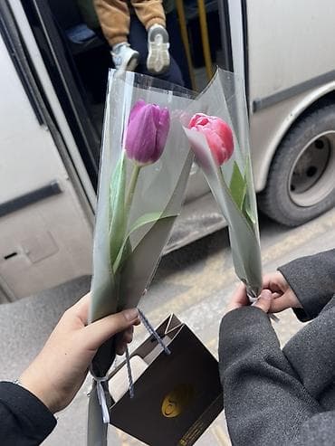 мандарин букет: Одиночные тюльпаны в индивидуальной упаковке. - Сорта: розовый и — 1