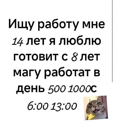 повар резюме: Повар . Больше 6 лет опыта — 1