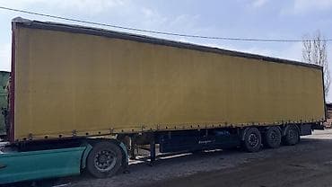 down pipe: Тягач, DAF, Тентованный — 4