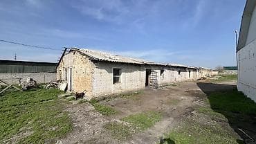 швейный цех бишкек: 40 соток, Не действующий, Без оборудования, Электричество — 4