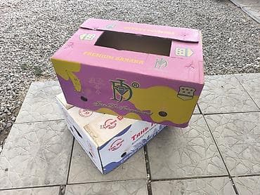 коробка для фруктов: Ящик — 2