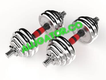 пружинные гантели сандова: Гантели Заводские хромированные разборные вес 15+15 кг новые в — 1