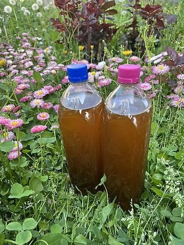 фрютерное масло: Хлопковое масло 100% натуральный продукт, холодный отжим — 2
