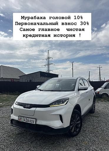 byd e3: Weltmeister EX5, 2020 г., Передний, В наличии — 1