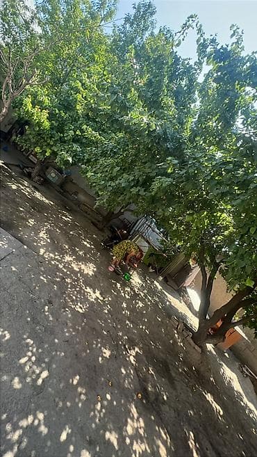 Дома: Дом, 3-комн., 70 м2, Красная книга (техпаспорт сделают) 2.6 соток — 1