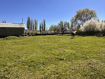 сузики вагон р: 24 соток, Для строительства, Красная книга, Договор купли-продажи — 3