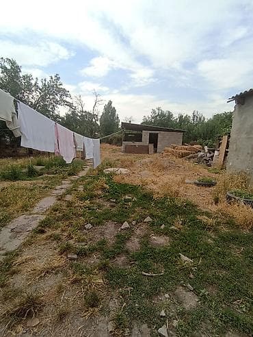 үй жер: 9 соток, Курулуш, Кызыл китеп — 5