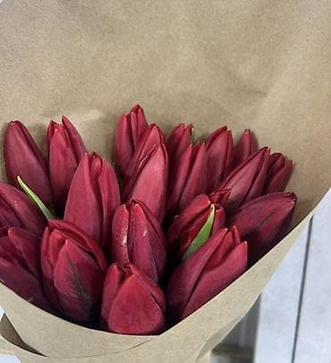 тулпан оптом: Тюльпаны Оптом и в розницу - Разнообразие оттенков: жёлтые, розовые — 2