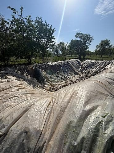 село чокморова: 1 соток, Для сельского хозяйства — 4