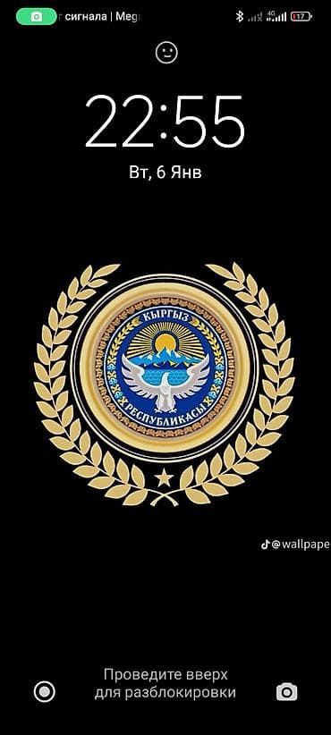 oneplus 11 цена в бишкеке: Экран телефона. - Дизайн: золотой лавровый венок и звезда, по центру — — 1