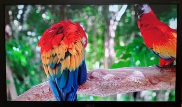 Монитор, Acer, Б/у, LED, 21" - 22"