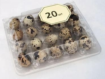 Перепелиные яйца в прозрачной пластиковой упаковке. - Количество в