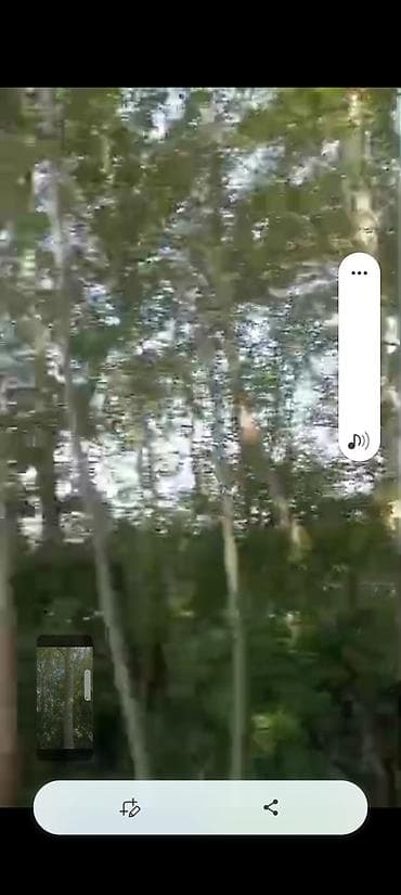 МДФ: Дарактарды теректи кесип беребиз, келишим баада — 2