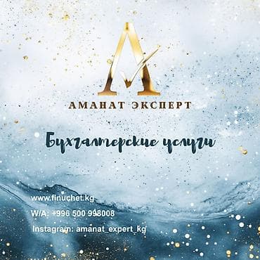 ds 160: Бухгалтерские услуги | Ведение бухгалтерского учёта, Консультация, Ликвидация юридических лиц — 1