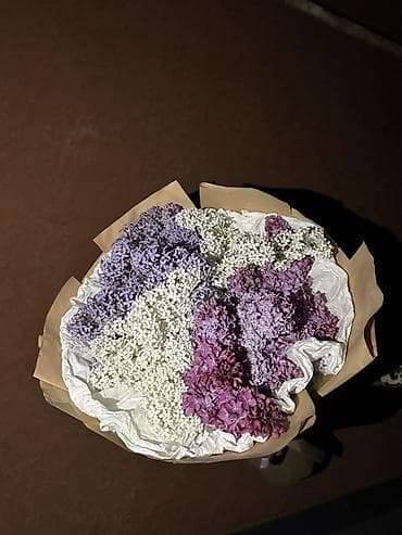 букет сирень: Букет из ароматной сирени по 30 1000 БЫСТРО И ДЕШЕВО ПИШИТЕ ЗВОНИТЕ — 3