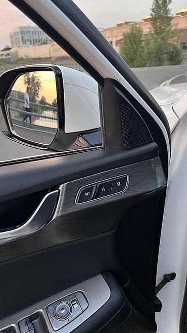 ml 2 7: Hyundai Palisade: 2020 г., 2.2 л, Автомат, Дизель, Кроссовер — 10