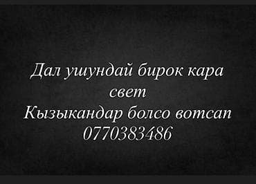 куры простые: Продаю | Овца (самка) | Для разведения | Ярка — 2