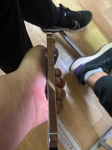 phone 6s: IPhone 14 Pro, 256 ГБ, Серебристый — 4