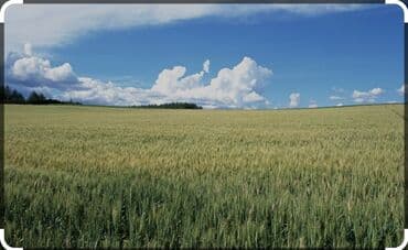 купить участок дом: 100 соток — 1