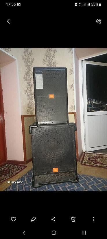 i phon: Профессиональные динамики для акустических систем — 10