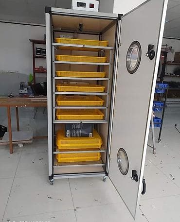 несушка инкубатор: На заказ с Турции инкубатор фул автомат. Гарантия 1 год! От 1000яиц — 5