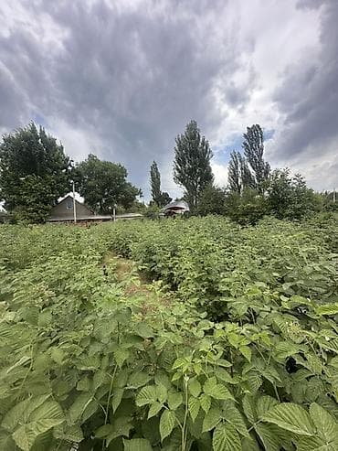 3: 4 соток, Для строительства — 2