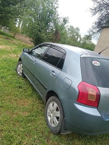 Toyota Corolla: 2003 г., 1.6 л, Автомат, Бензин, Хэтчбэк