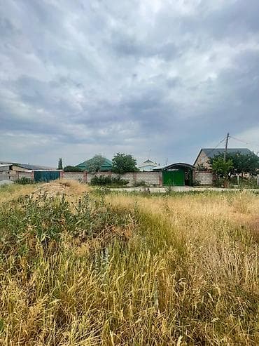 Кыймылсыз мүлк: 25 соток, Кызыл китеп — 2
