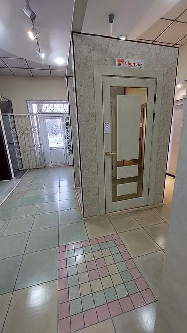 дверной добор: Межкомнатная дверь Übertüre с зеркальной вставкой - Тип: межкомнатная — 1