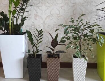 цветочница: Цветочные горшки
Россия, Турция, Польские
От 100с — 13