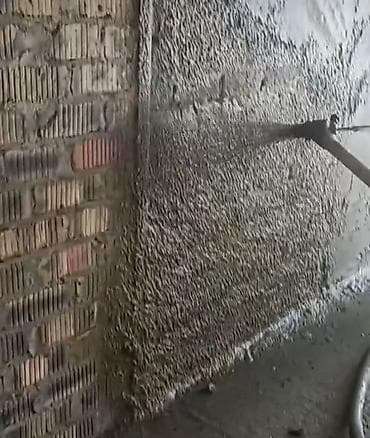 Бөлмө өсүмдүктөрү: Шыбак станциясы — 3