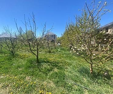 село романовка: 45 соток, Для строительства, Красная книга — 10