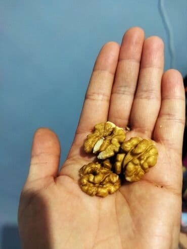 рацион: Грецкий орех — ядра без скорлупы - Крупные половинки и четвертинки. - — 2