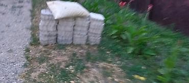 пакта: Здравствуйте, нужны работники для плитки брусчатки. цена договорная — 2