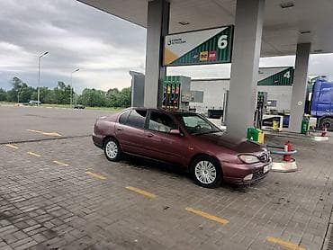 продаю корзину: Nissan Primera Camino: 2001 г., 1.8 л, Механика, Бензин, Лифтбек — 2