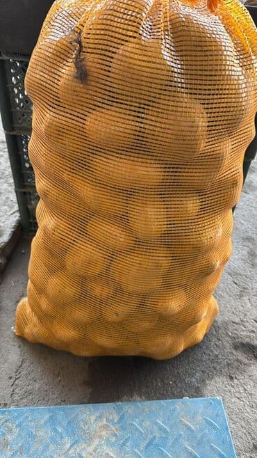 стульчик для кормления 3 в 1: Картошка Джелли, Оптом — 2