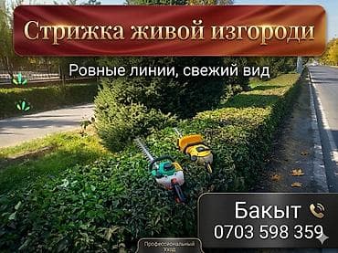 задаю: Саженцы и декоративные посадки для сада и двора. Предлагаются: - — 1