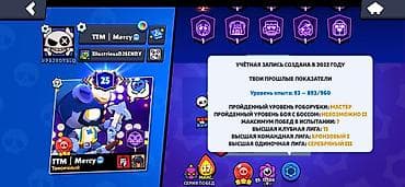 Значки: Аккаунт Brawl Stars Основное: - Путь к славе: 53 911 - Бойцов — 2