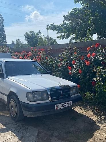 Унаа сатуу: Mercedes-Benz W124: 1988 г., 2.3 л, Бензин, Седан — 1