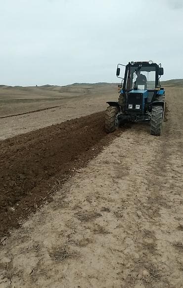 камнеуборочная машина цена: Модель: 892, Б/у, 2020 г. — 6